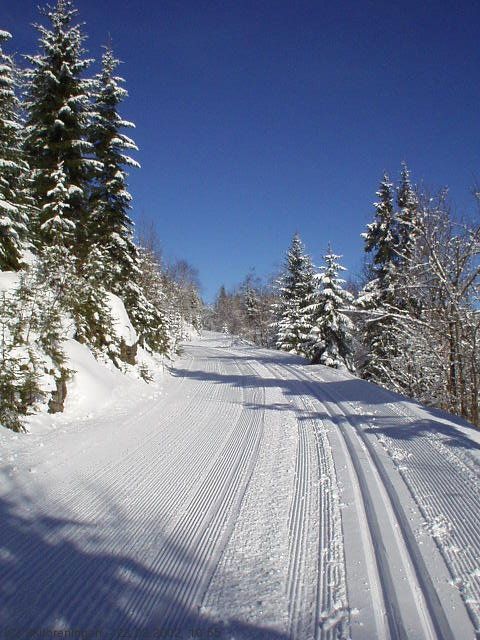 Trikkeskinner i Dammyrdalen