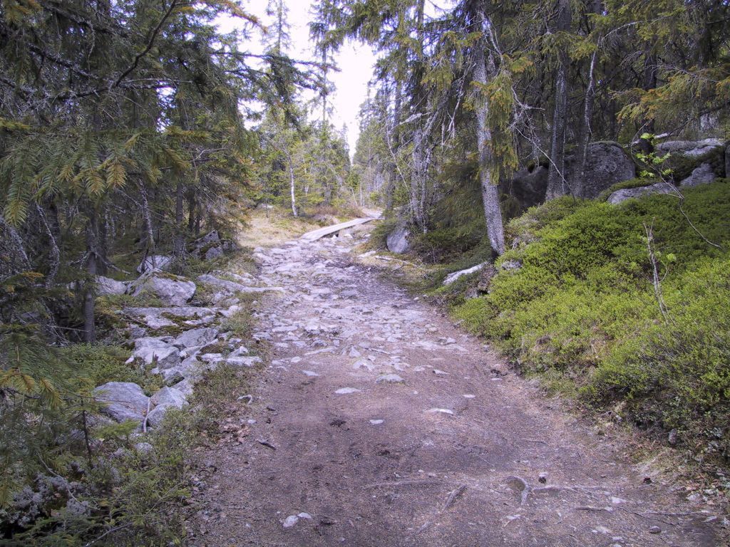 Trillesti av varierende kvalitet etter Steinbutjern