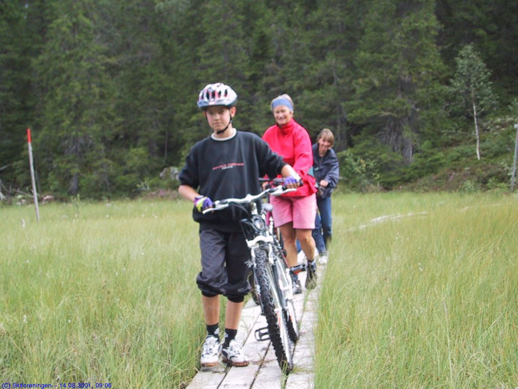 Trillesti i Bjønnputtdalen