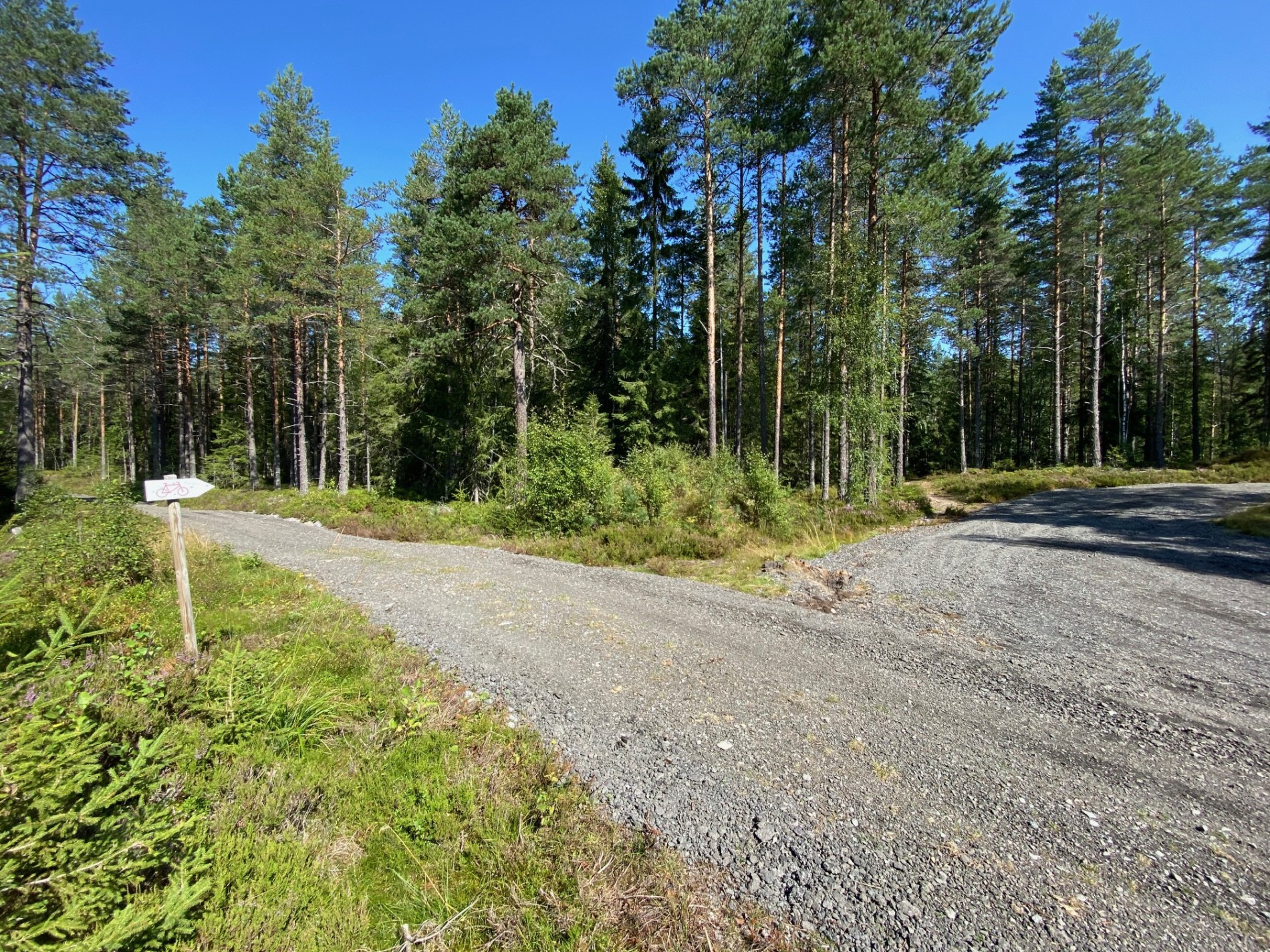 Trillestien som fører til skogsbilveien til Råkalidammen