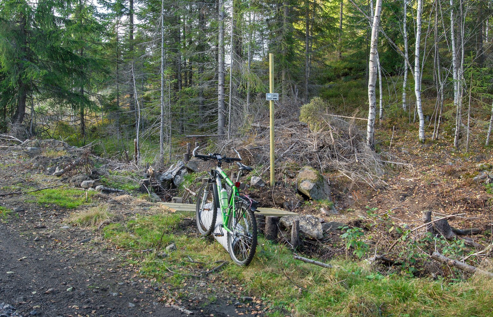 Trillestien ved Gjermåa