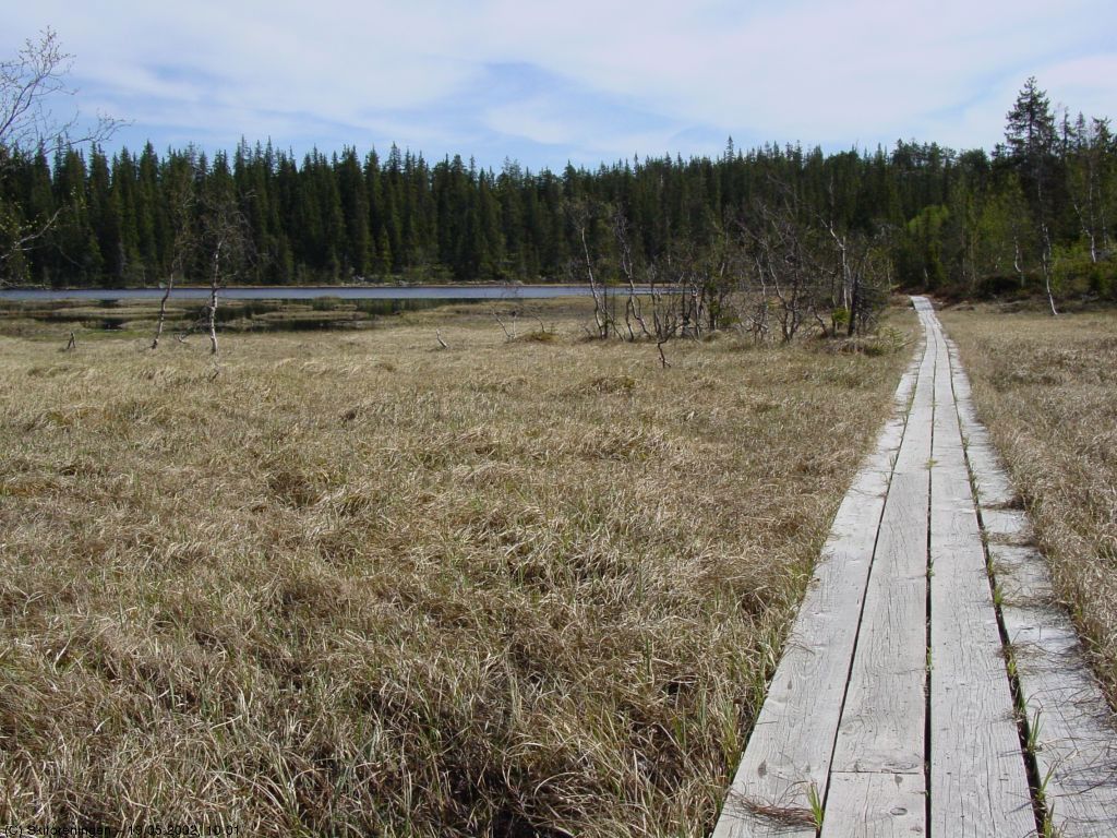 Trillestien ved Steinbutjern