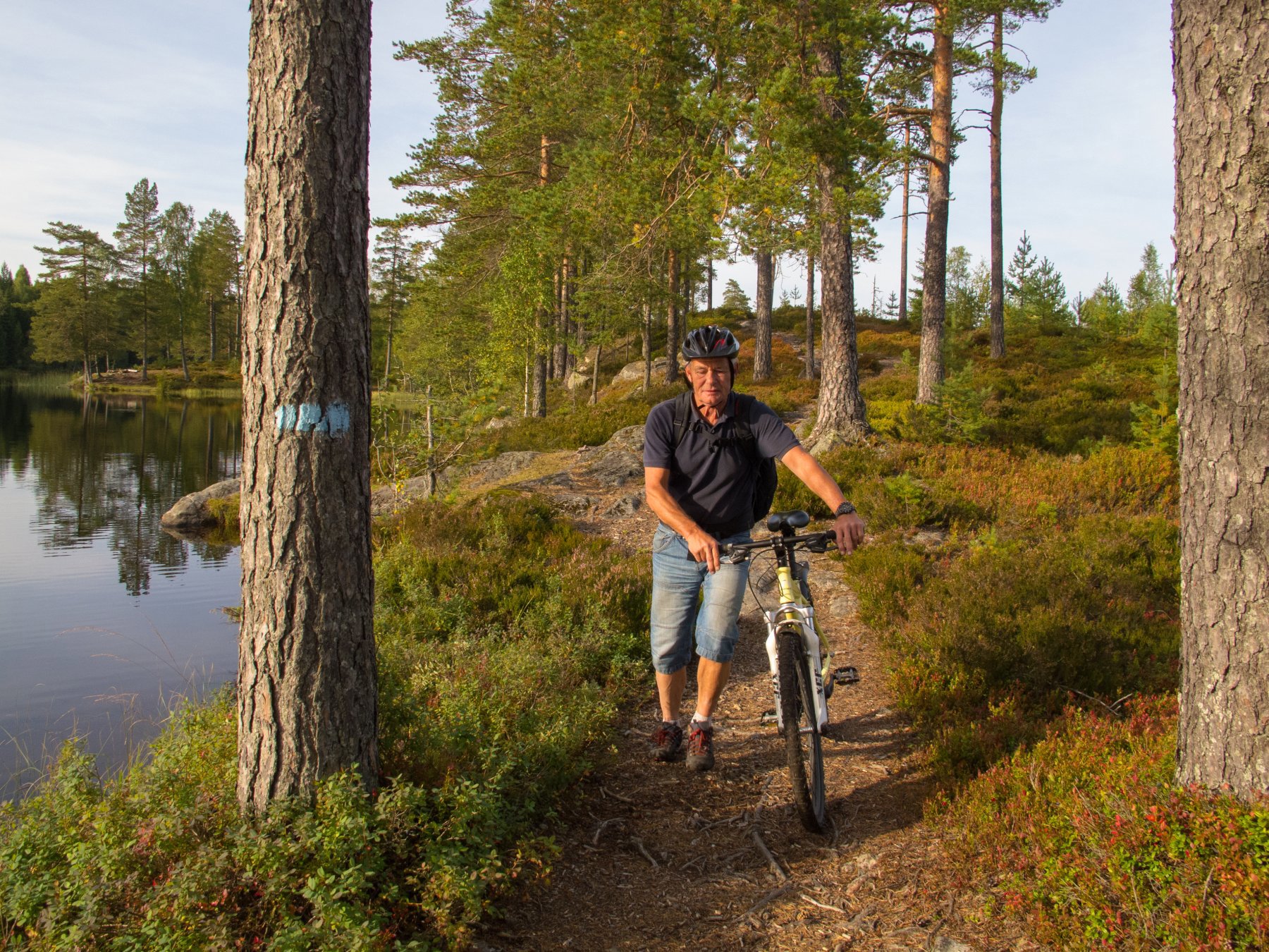 Trilling gjennom skogen