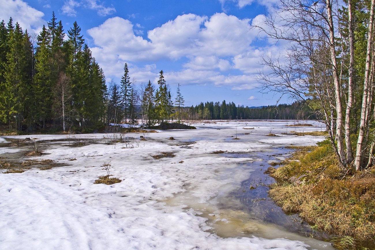 Triungsvann sprekker opp
