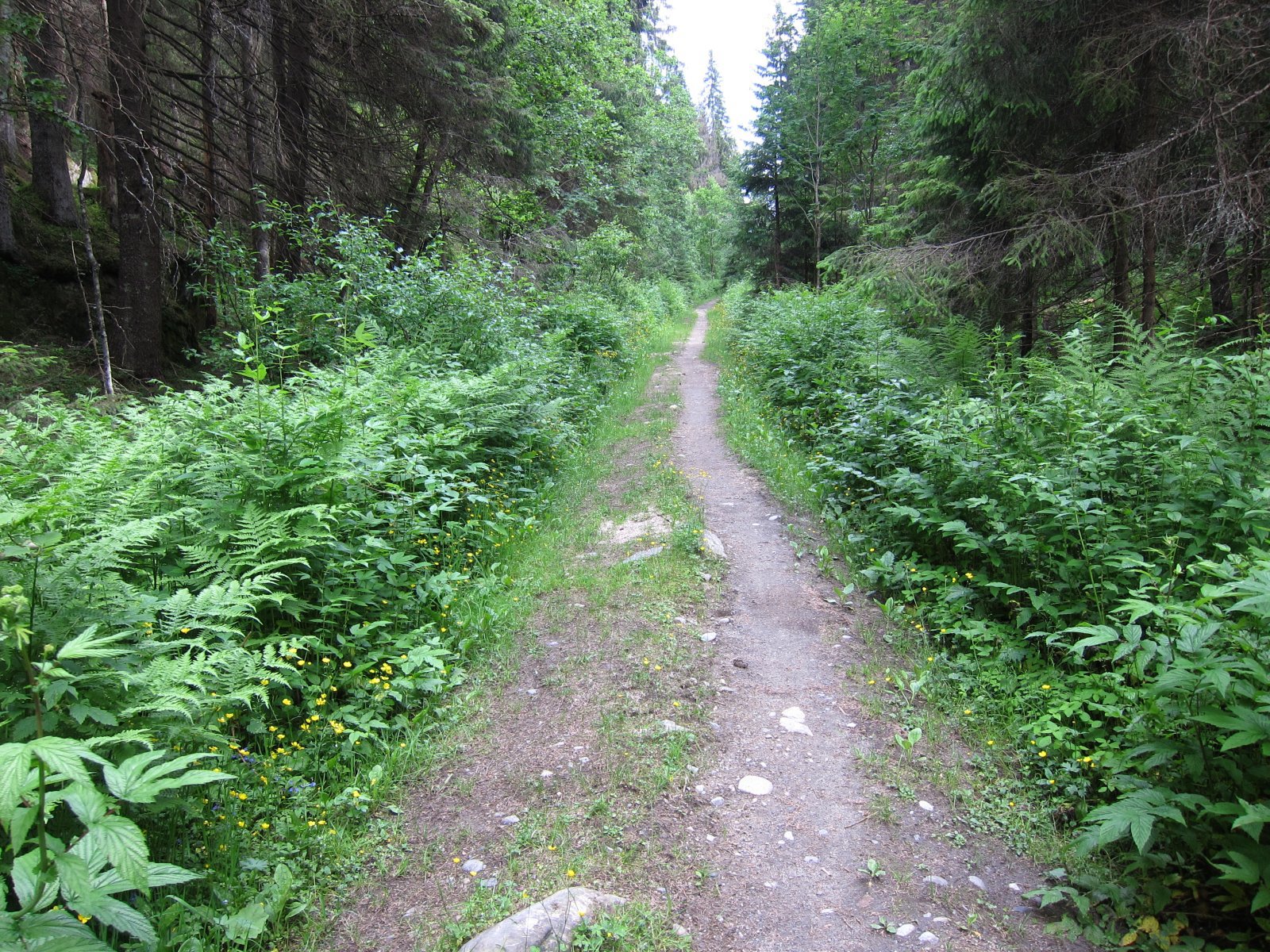 Trivelig sykkelvei gjennom Hestdalen