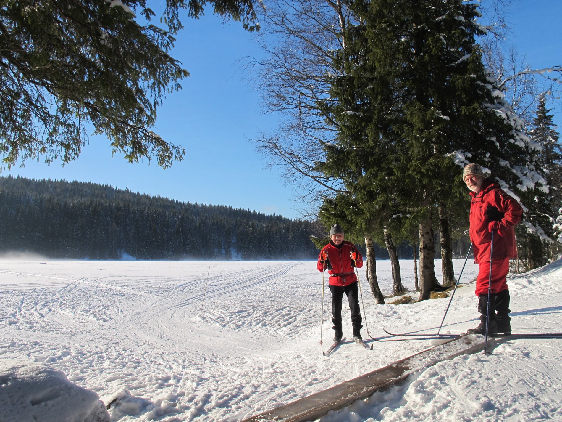Trivlige karer ved Abborvann