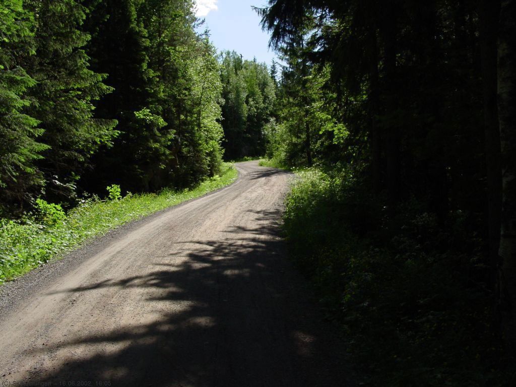 Trøkk i bakkene opp fra Fortjern