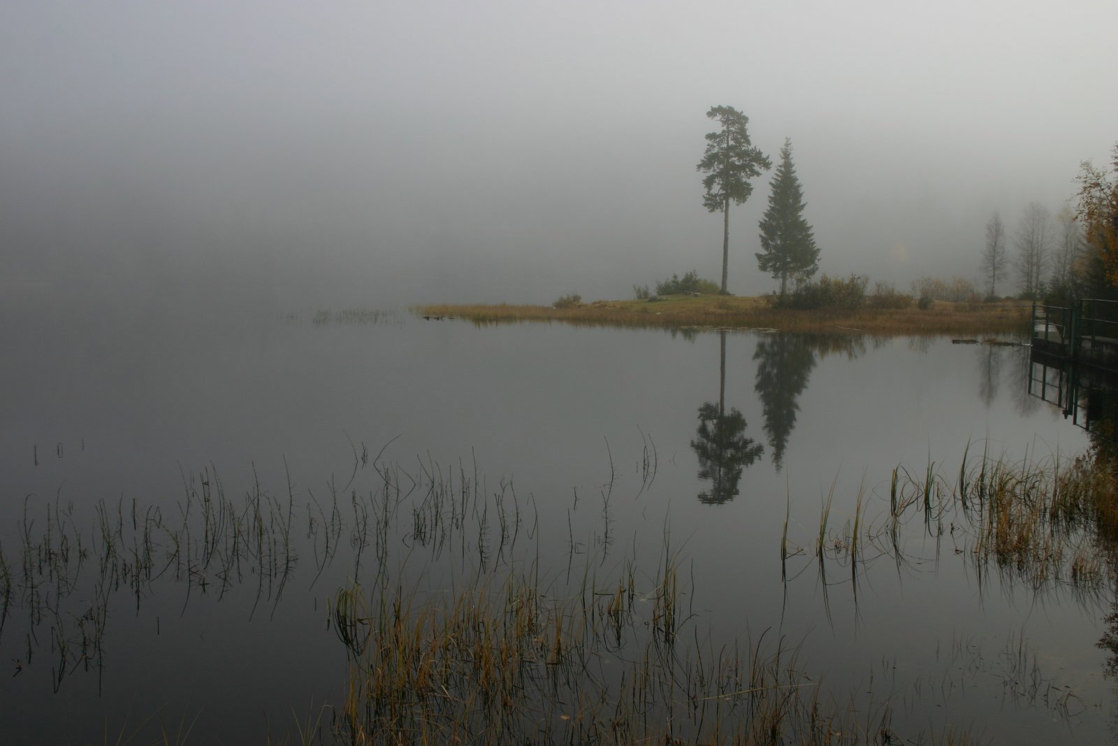 Trolsk høststemning ved Svera