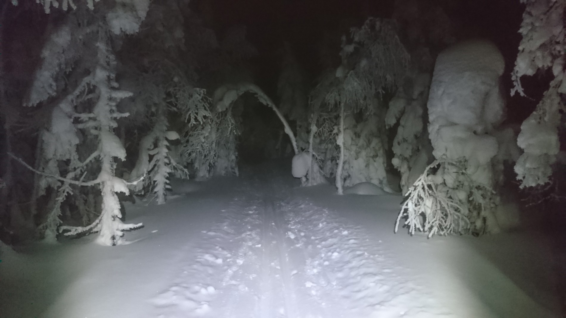 Trolsk i scooterløypene