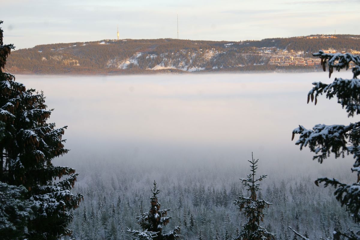 Tryvannstårnet og Holmenkollåsen