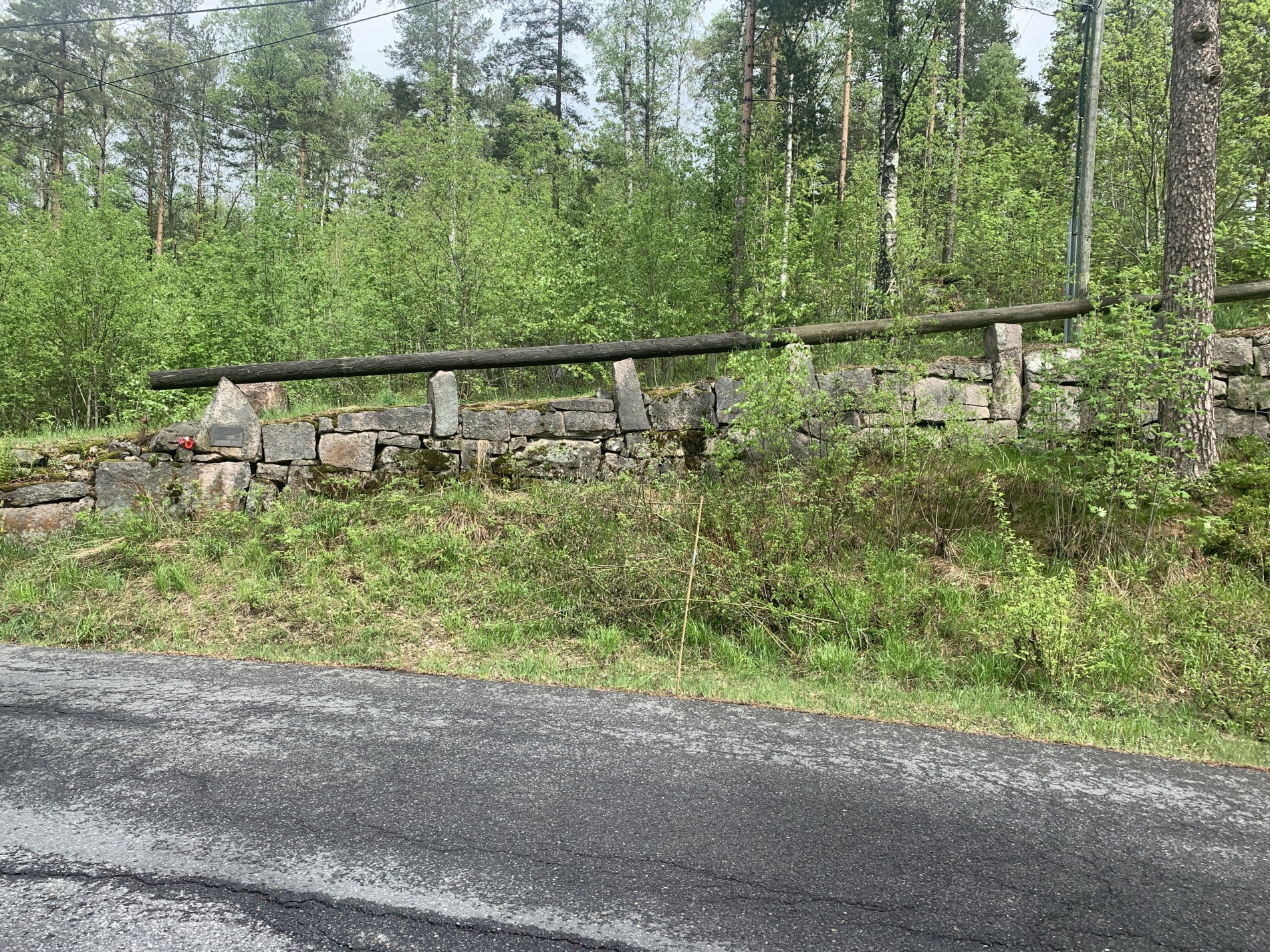 Tschudibakken i Solemskogen