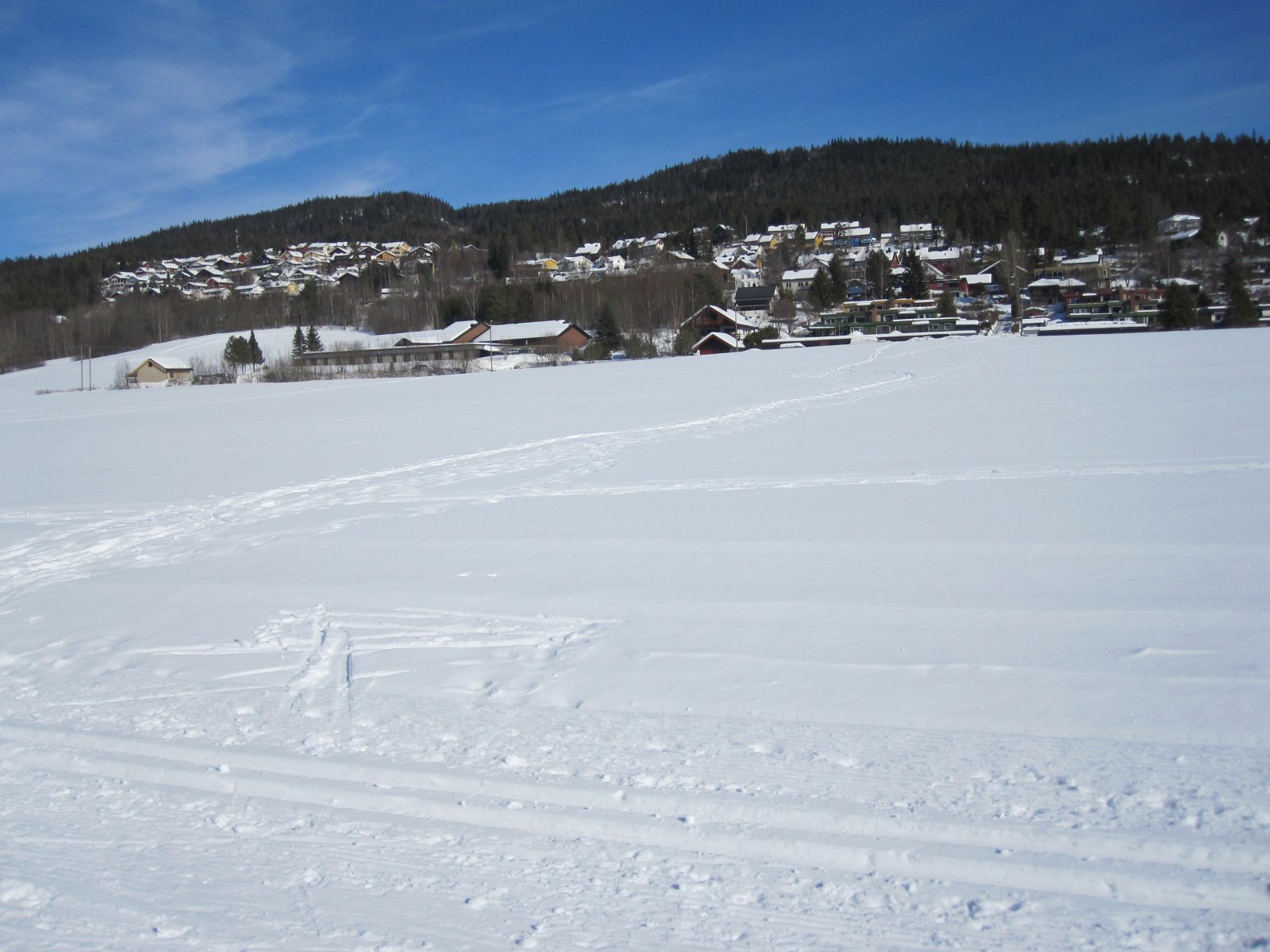 Turterreng og boligområde