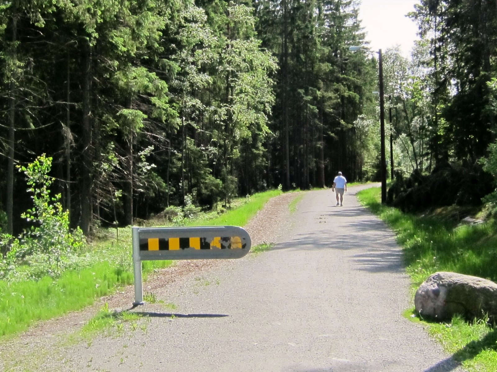 Turvei fra Grevlingen skole