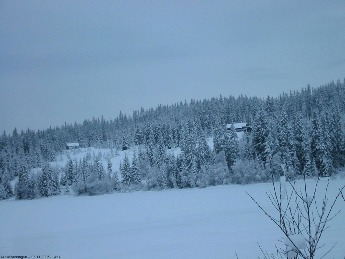 Uglaseter i november