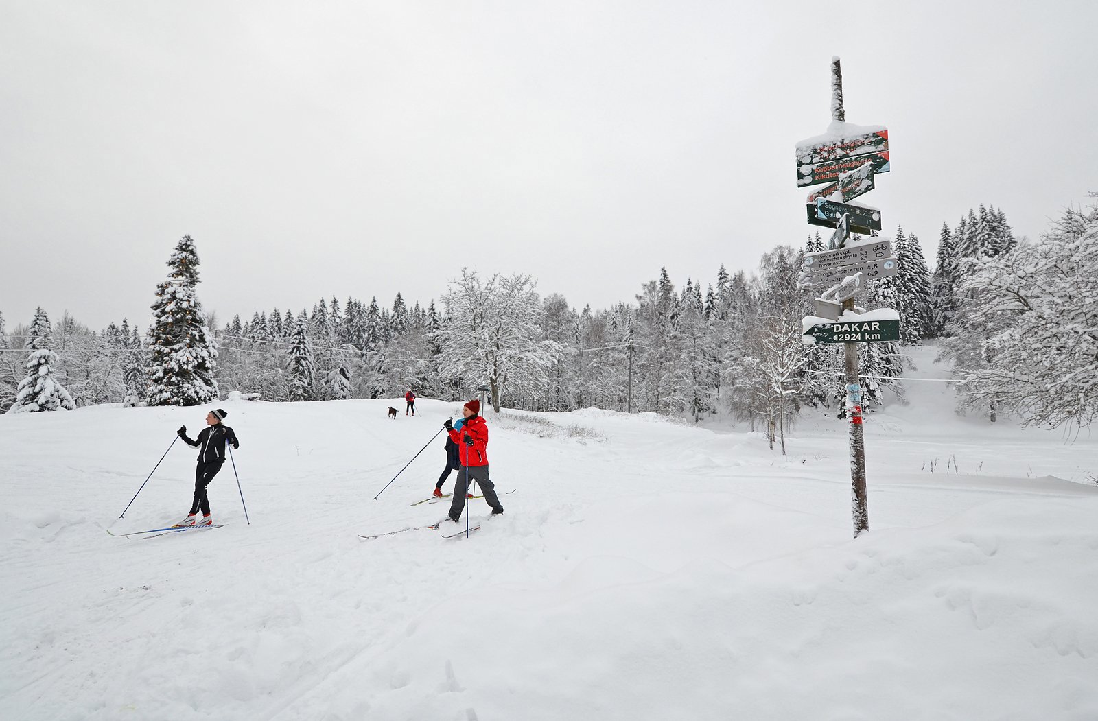 Ullevålseter: internasjonal veiviser, internasjonalt besøk