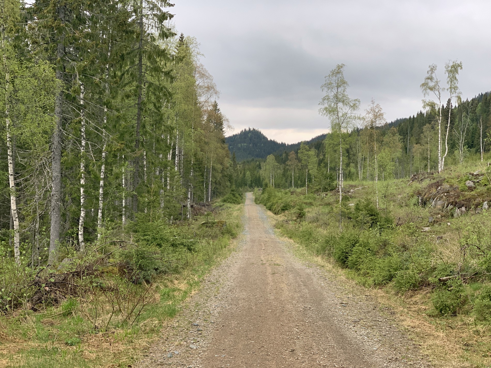 Unntak fra regelen: Her går det rett frem