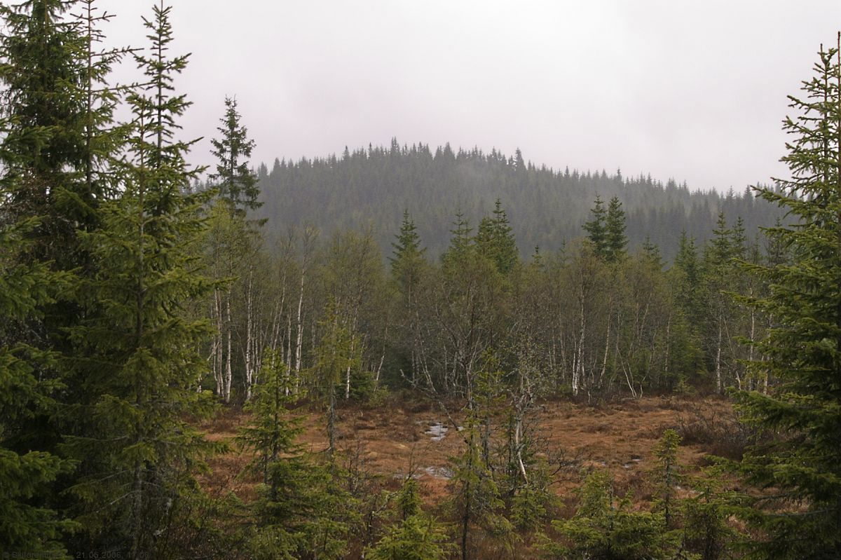 Urolig vær ved Rolighaugen