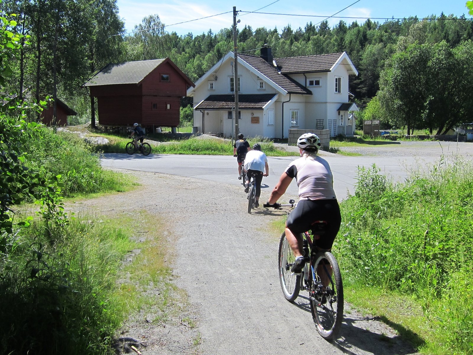 Ut av skogen ved Noreødegården