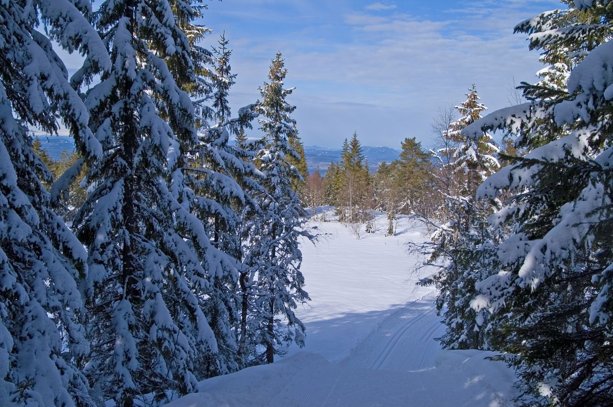 Ut i åpent landskap