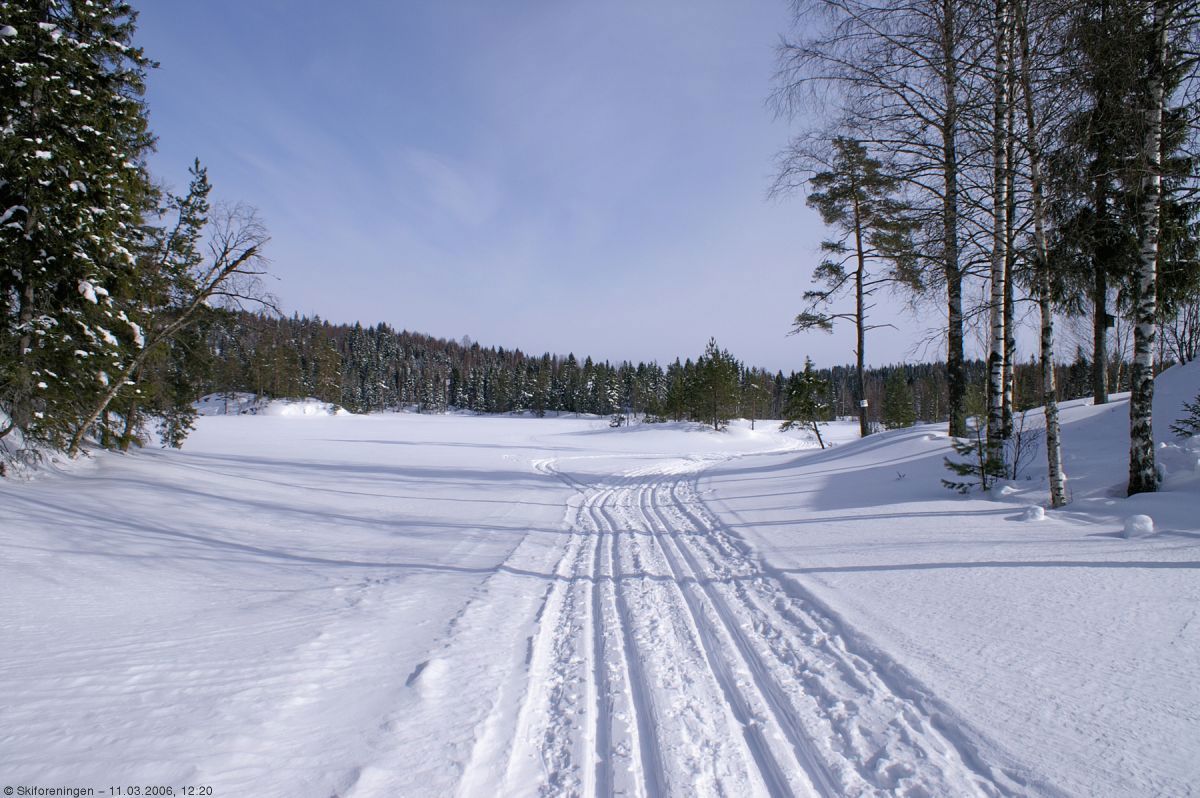 Ut på Gjeddevann