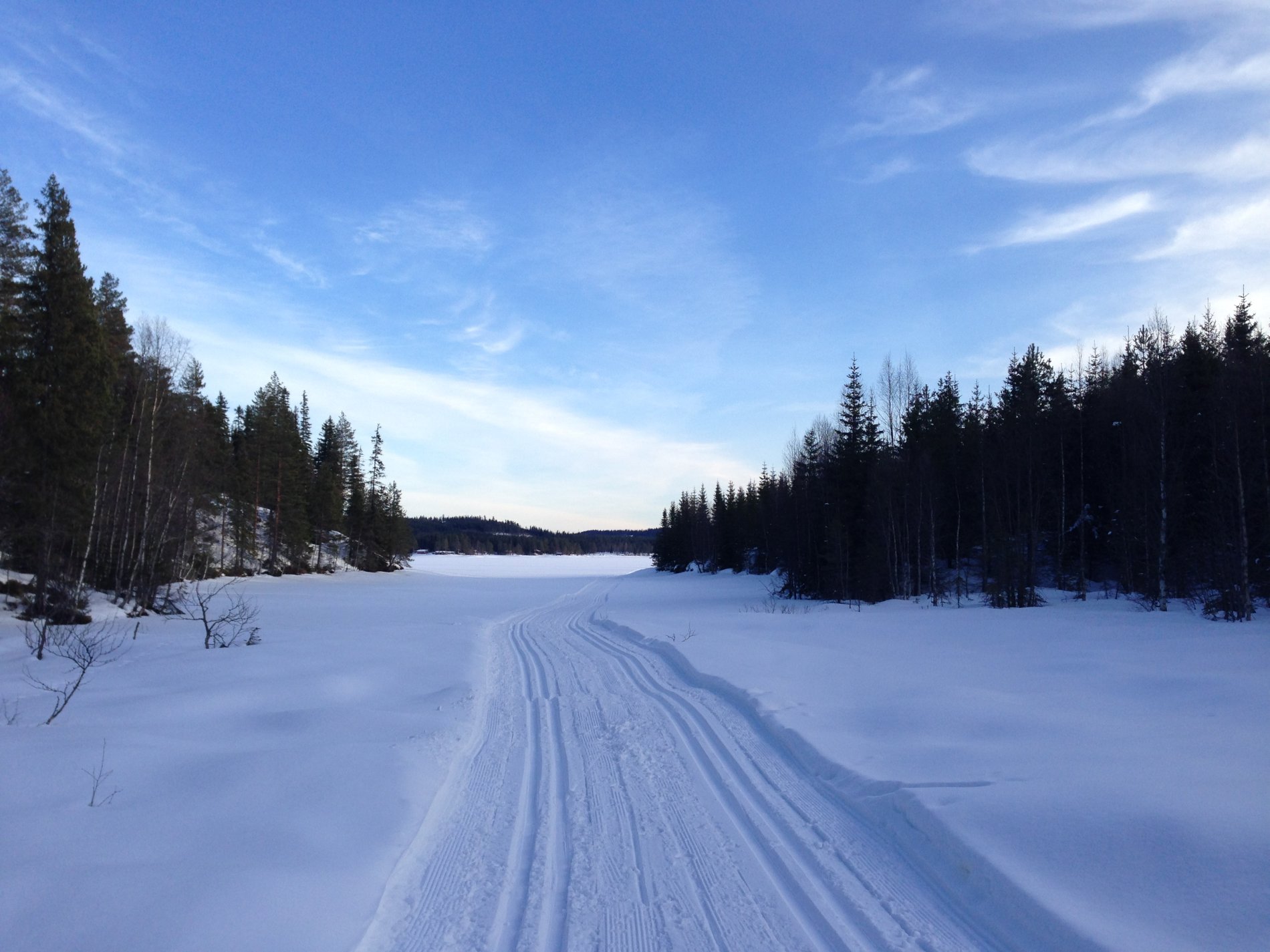 Ut på Skumsjøen i Tjærevika