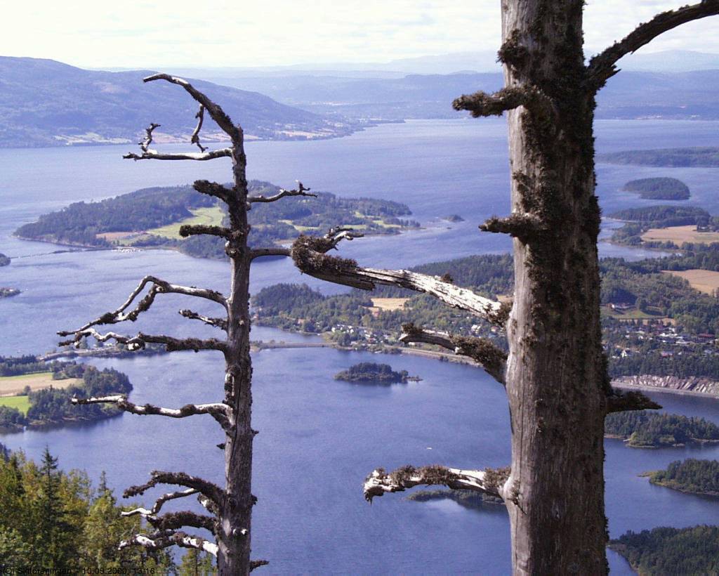 Utsikt fra Bronsealderrøysa ved Skardtjern