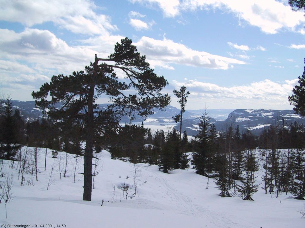 Utsikt fra Høgåsen