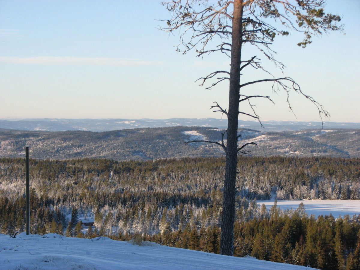 Utsikt fra Høgkorsplassen mot Hallingdal