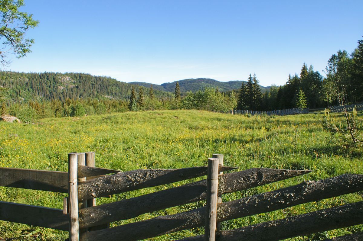 Utsikt fra Holoaseter