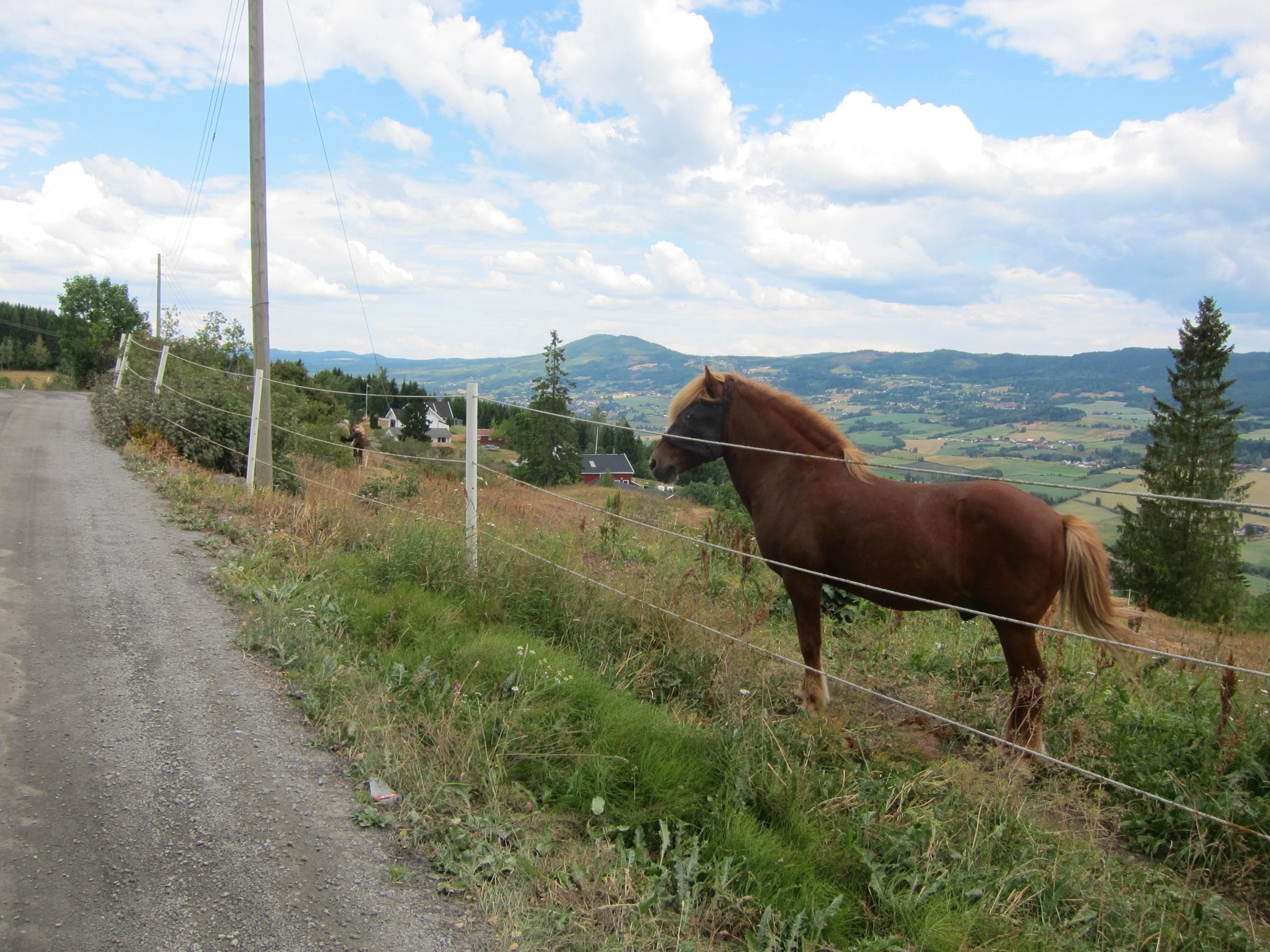 Utsikt fra Kongevegen