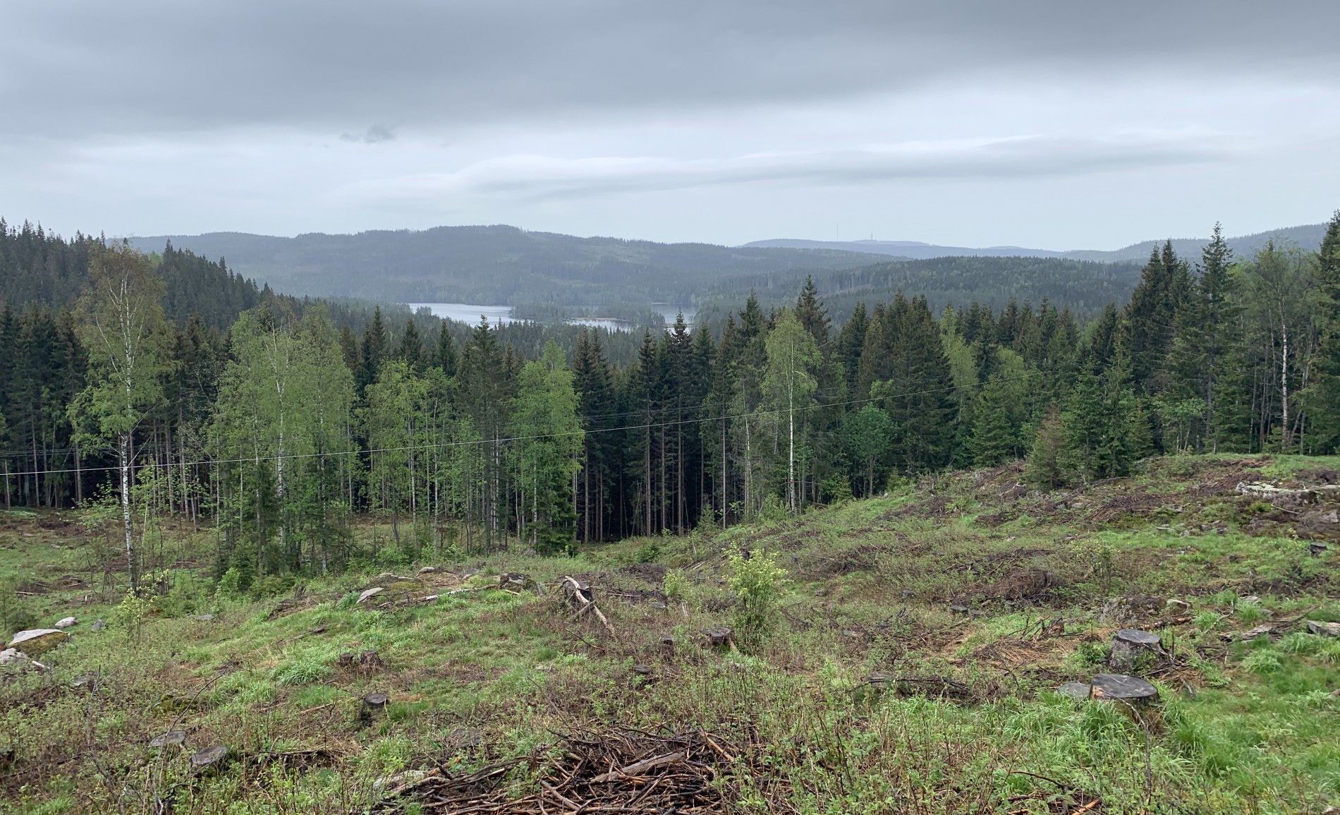 Utsikt fra Liggeren mot Tryvann
