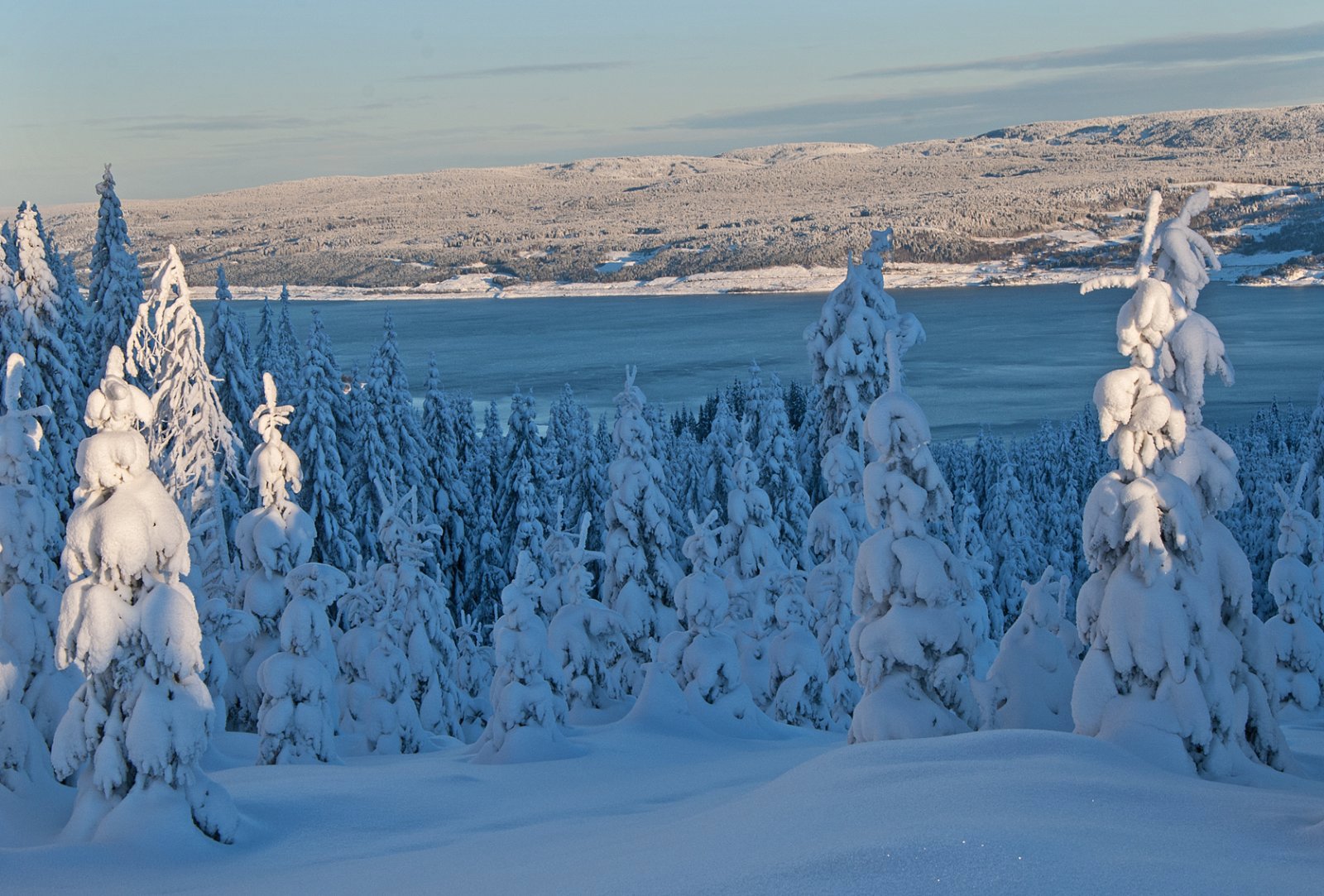 Utsikt fra Melbyhøgda