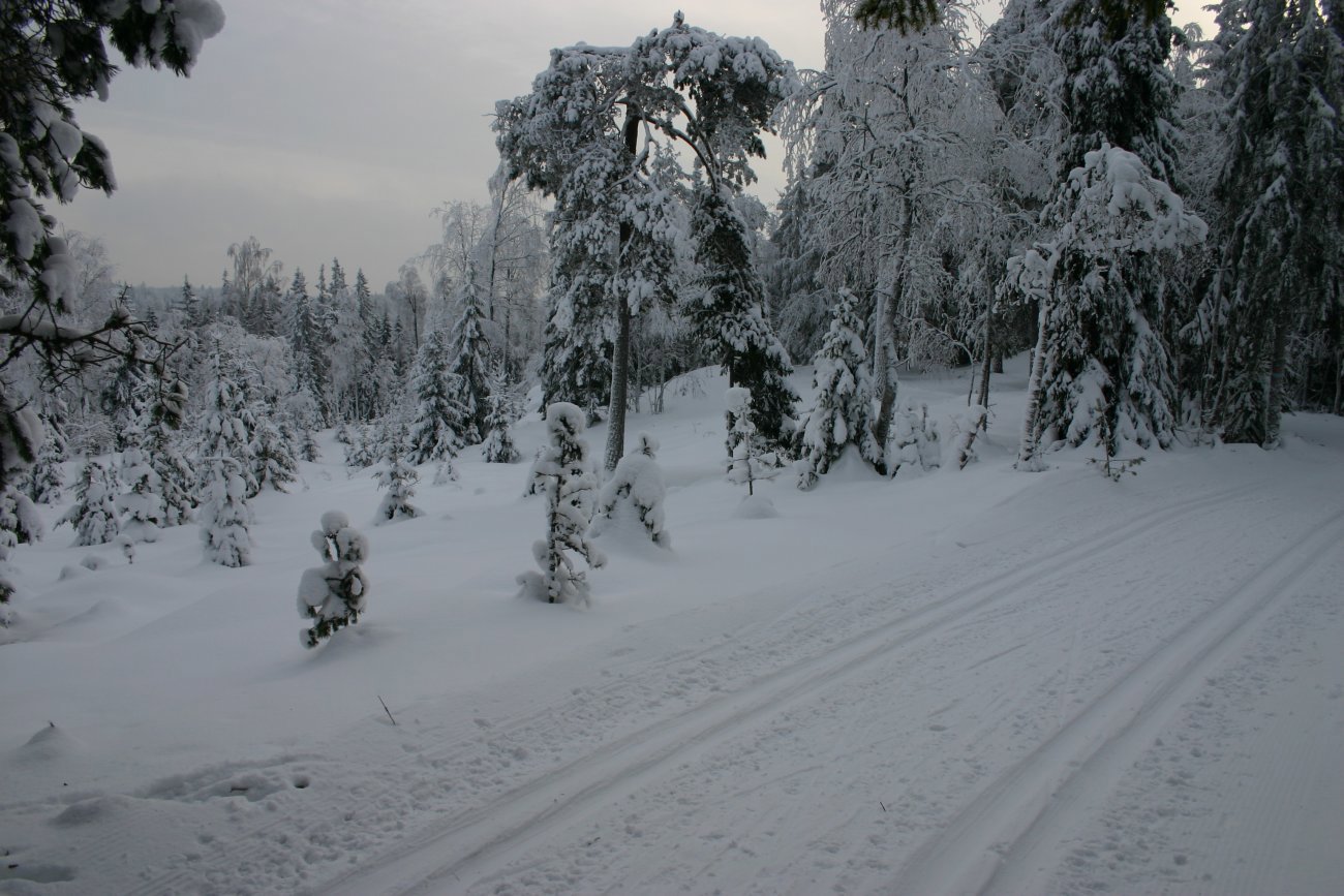 Utsikt fra Svarvestolbrenna