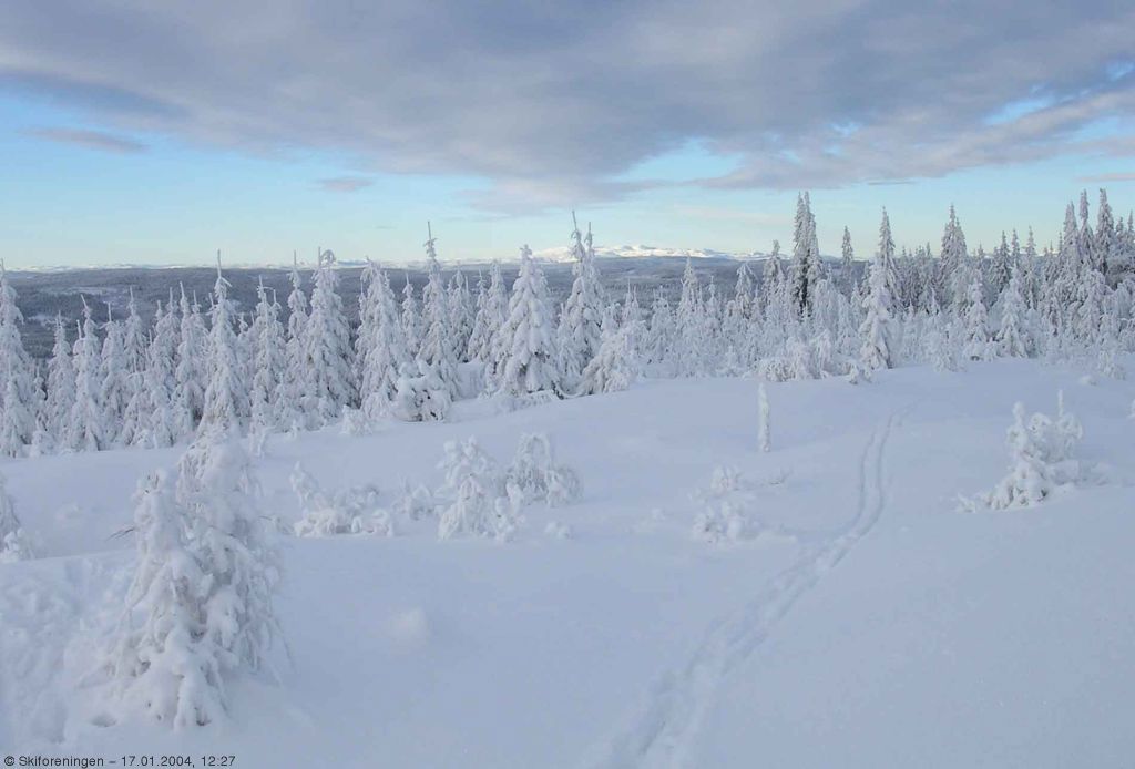 Utsikt fra Vidvangen mot Norefjell