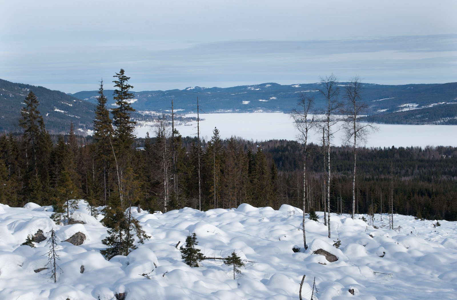 Utsikt mot Hurdal