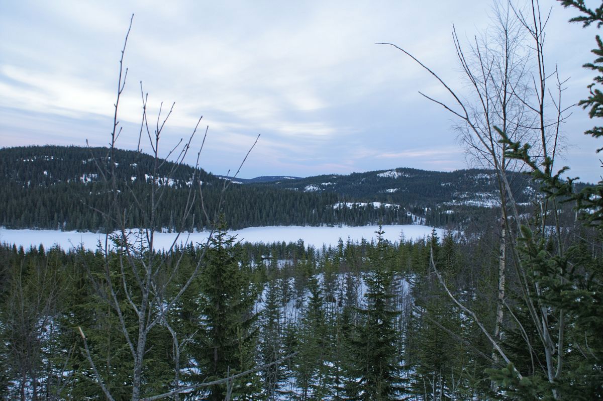 Utsikt mot Langvatnet