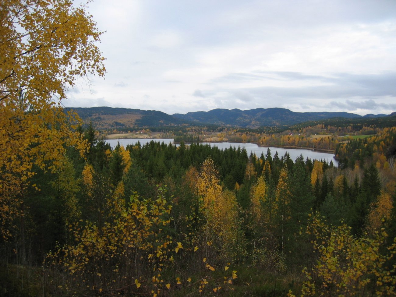 Utsikt mot Maridalsalpene