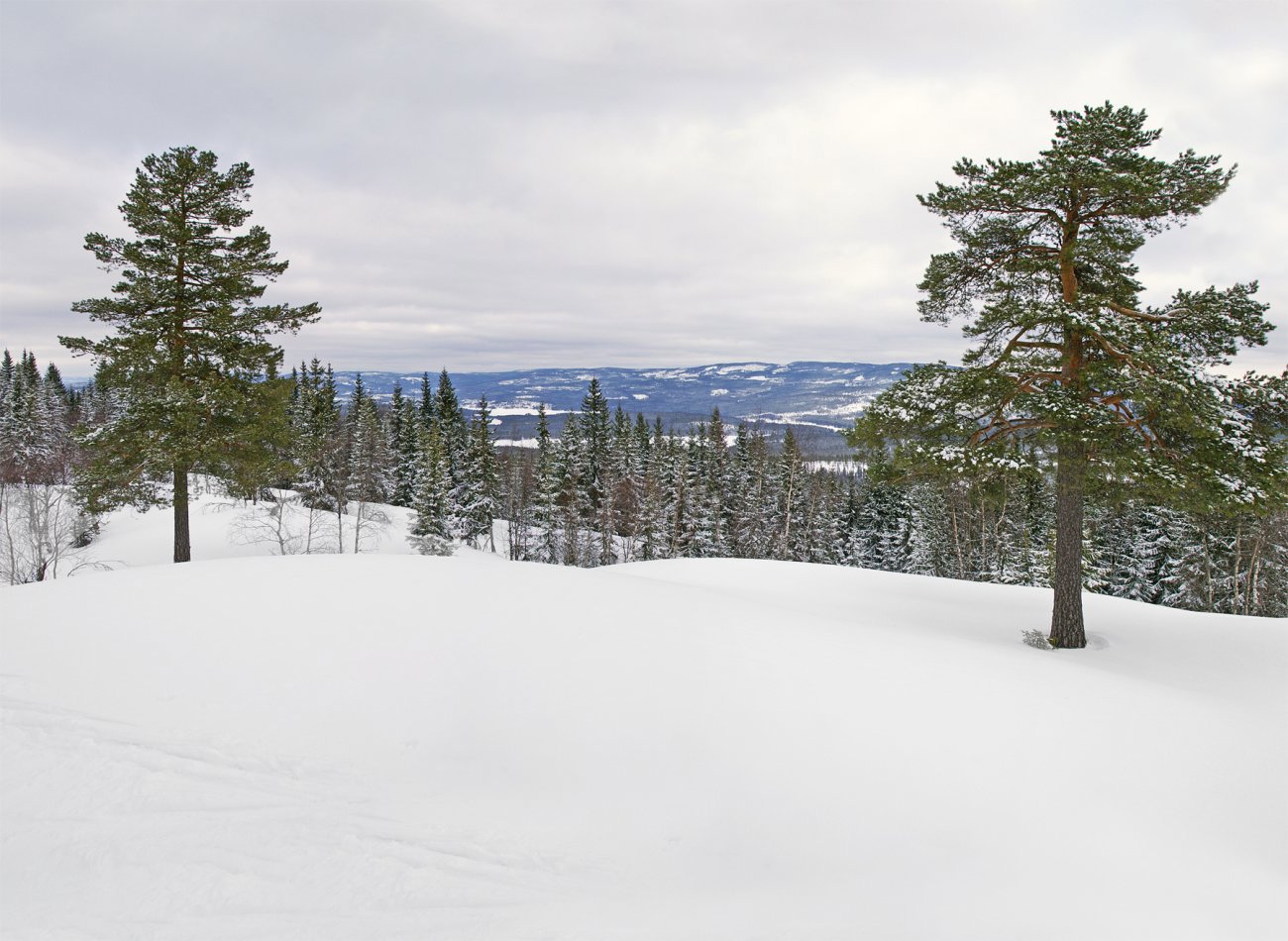 Utsikt mot nordøst fra Daltjuvmana