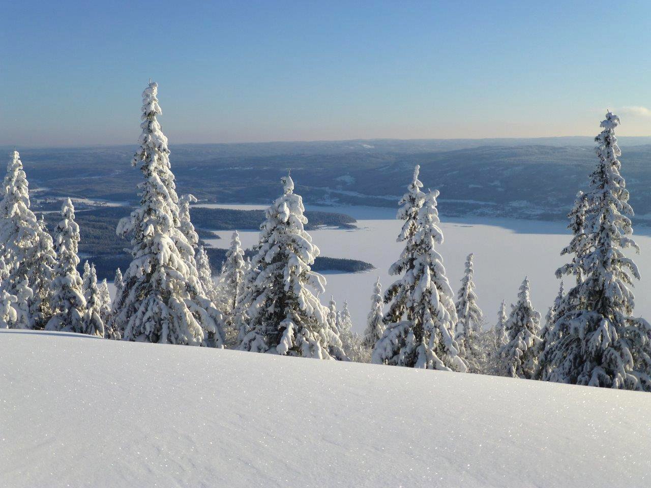 Utsikt mot øst fra Skreikampen