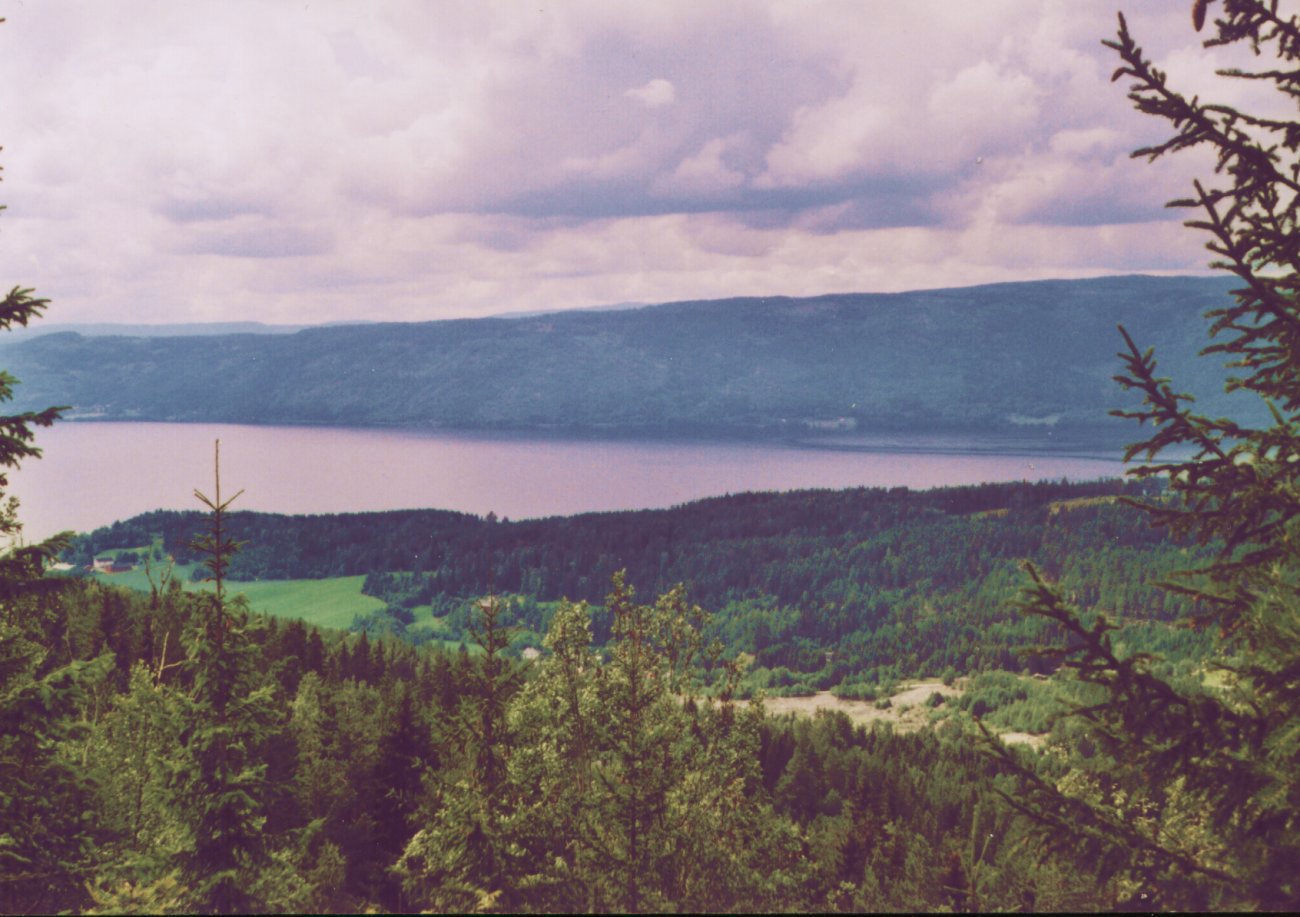 Utsikt mot Randsfjorden