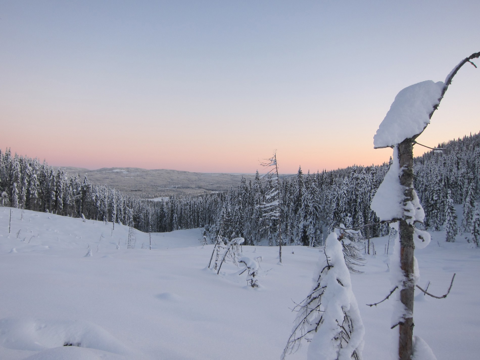 Utsikt mot Skjervavassdraget