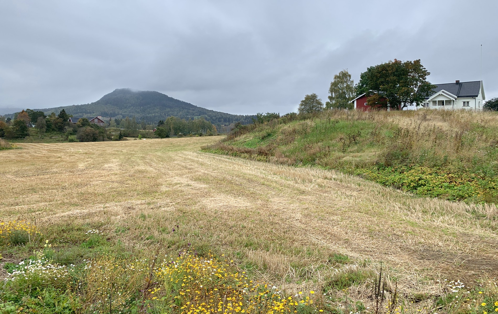 Utsikt mot Sølvsberget