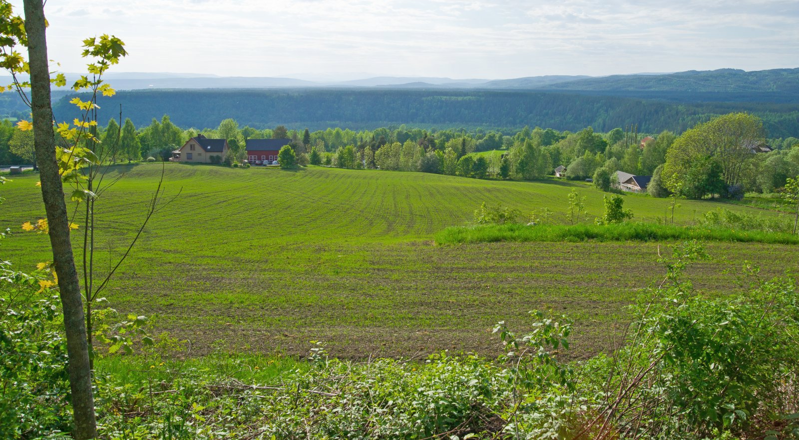 Utsikt mot vest fra Almegrenda