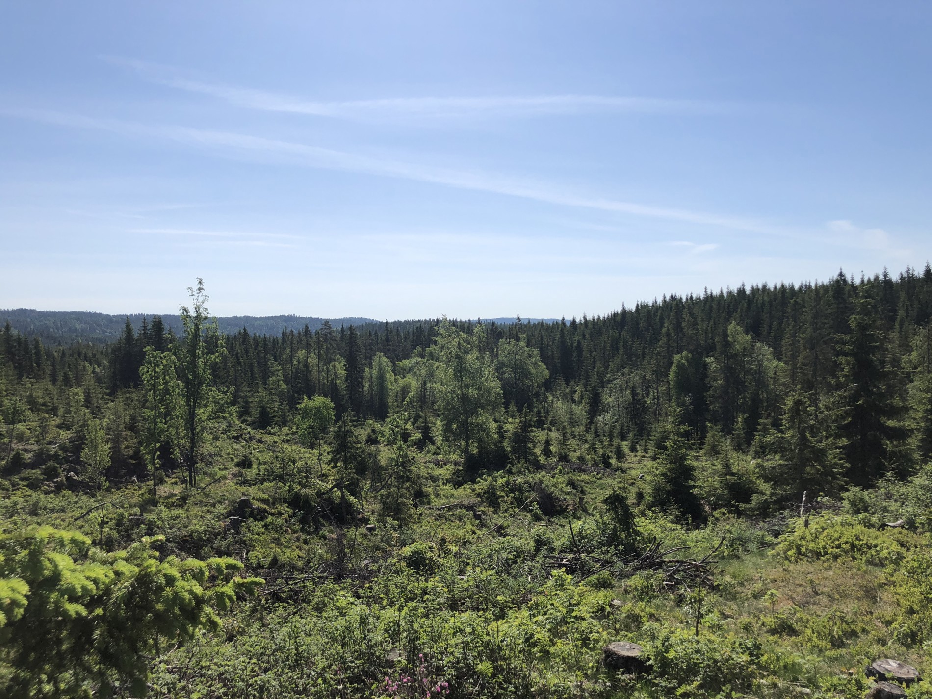 Utsikt sørover like ved Sørsetraveiens endepunkt