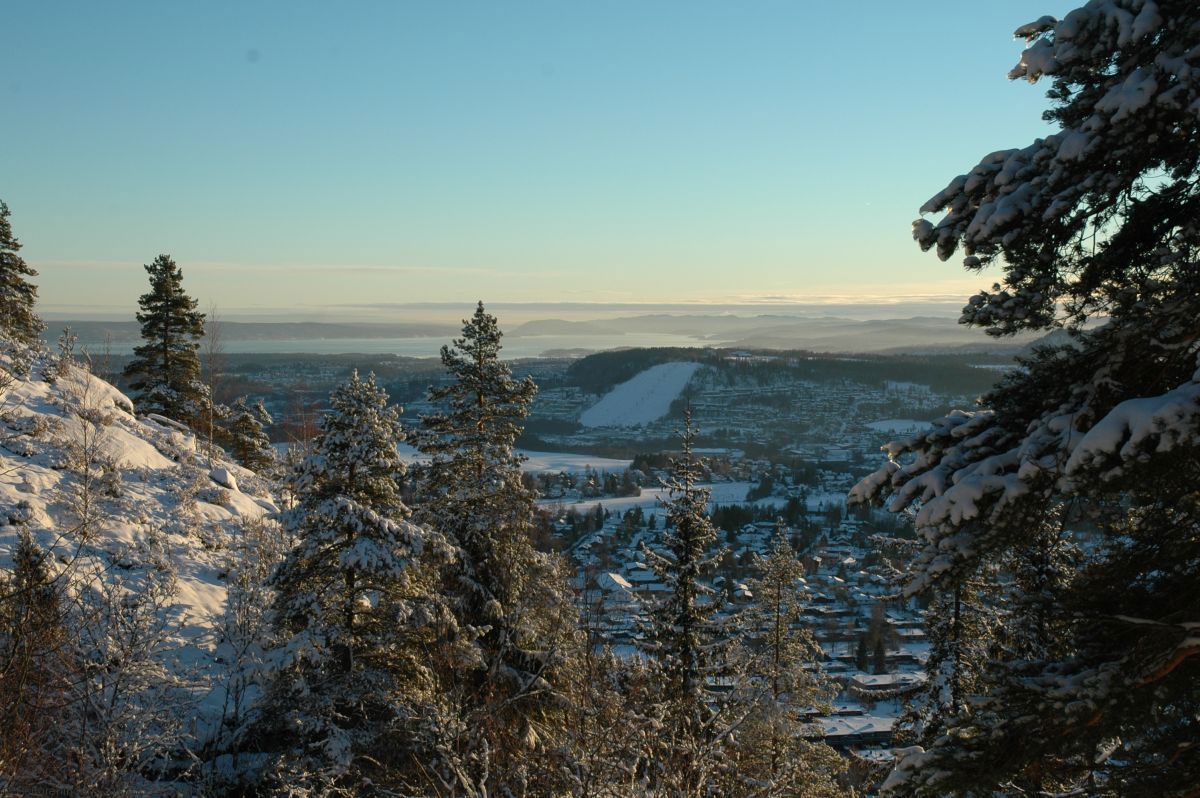 Utsikt sydover fra lysløypeanlegget på Eineåsen