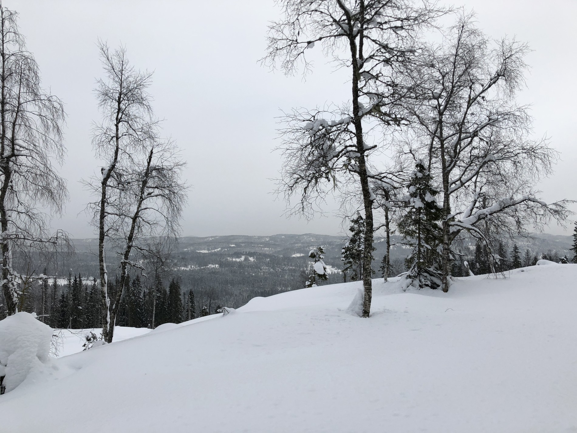 Utsikten fra kanten av Torgseterhøgda/Stormyrtjern