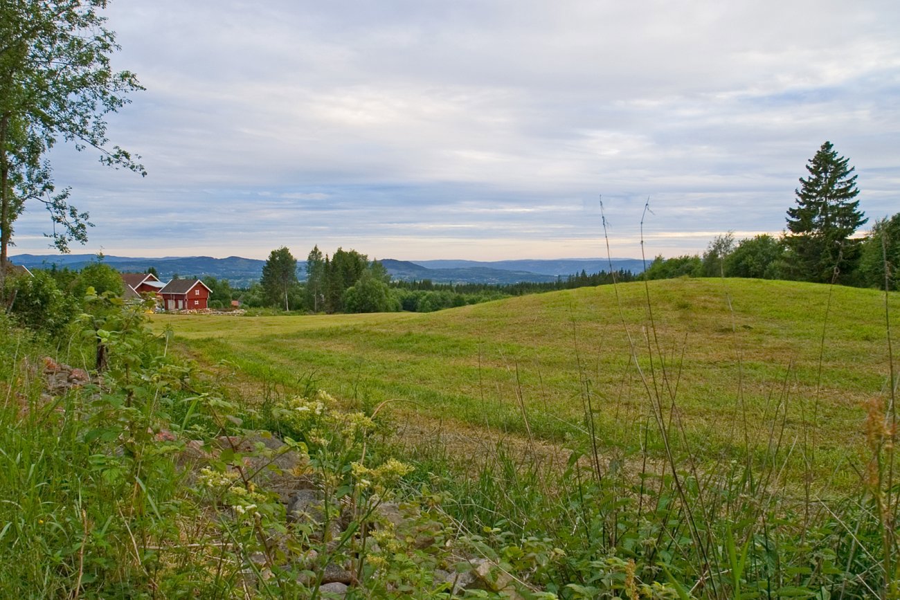 Utsikten sør for Pålsætra