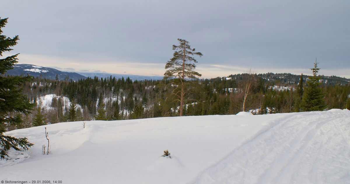 Utsyn fra Krokskogens vestligste skiløype