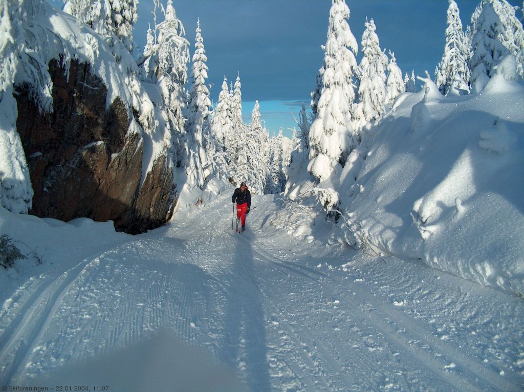 Vakker dag ved Tjuvdalen