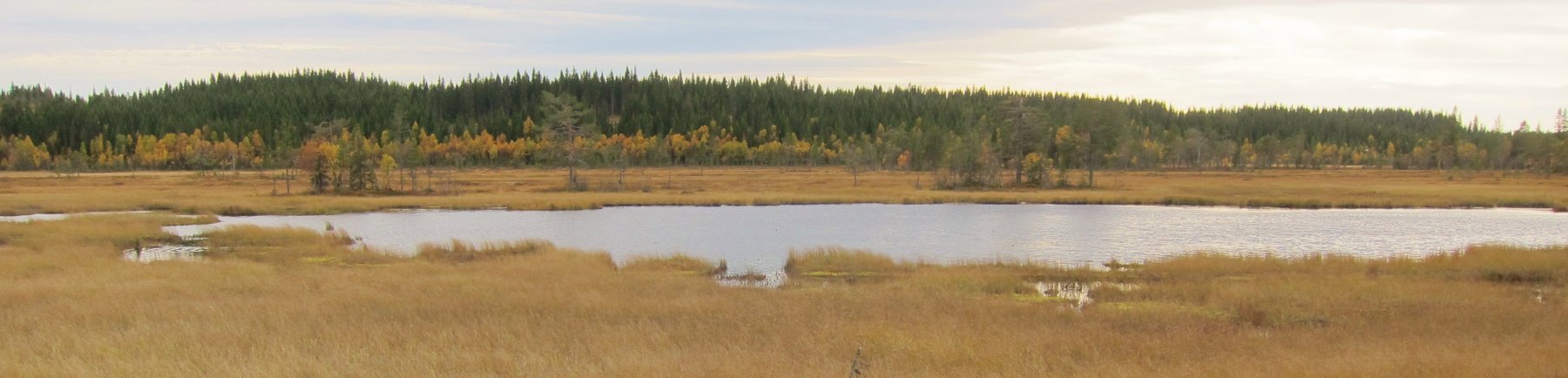 Vakker høst ved Søndre Vindflotjernet